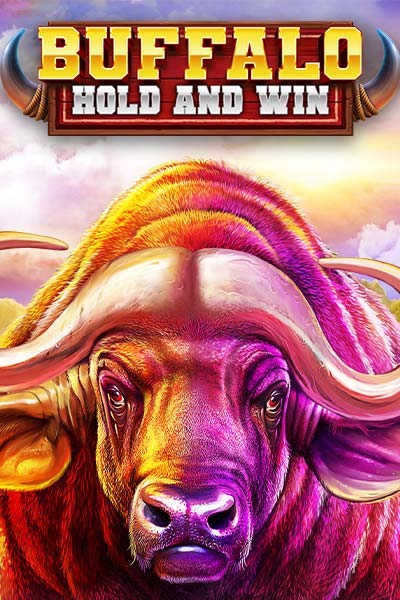 Buffalo Hold and Win